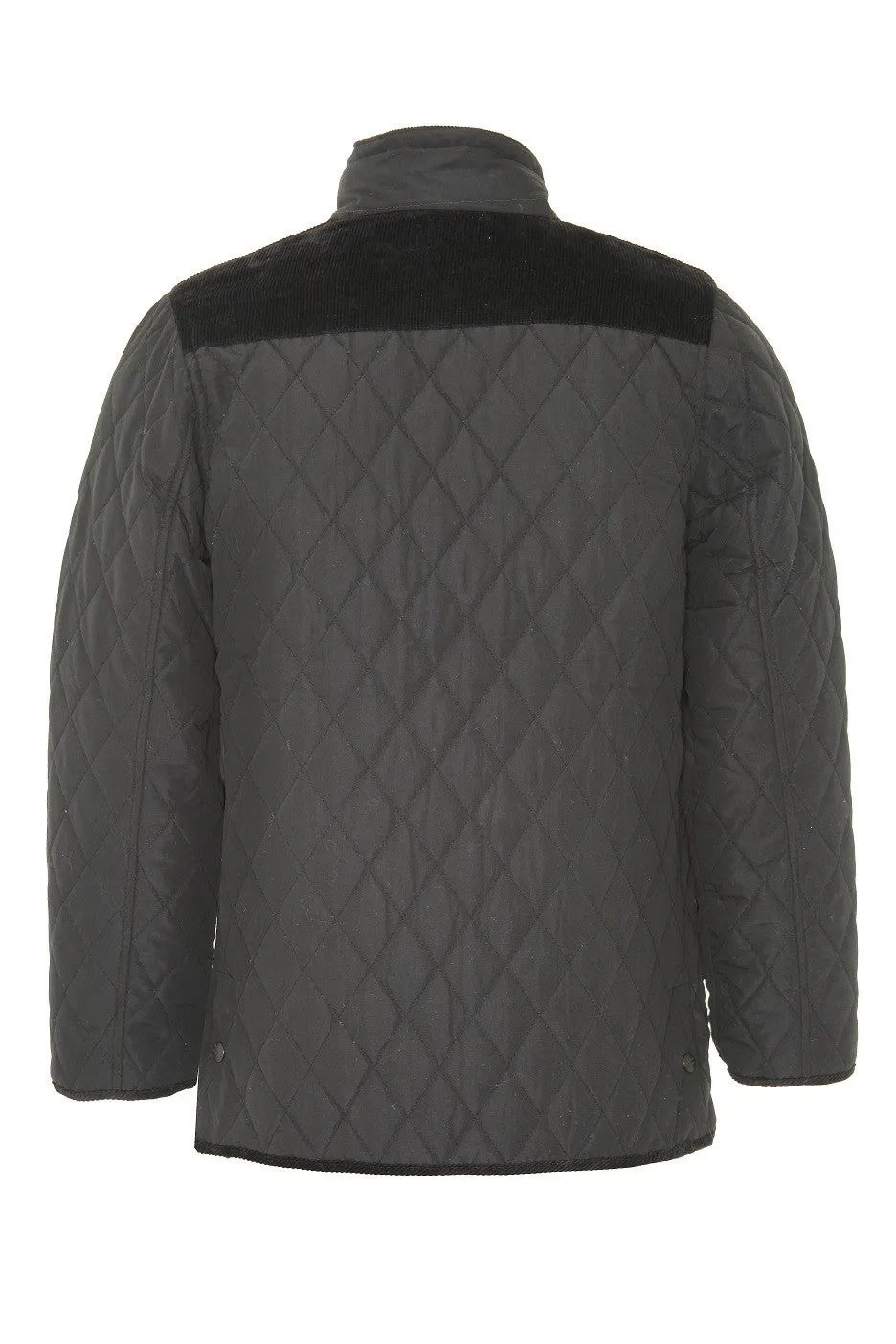 Champion Mens Lewis Padded Jacket-BLACK