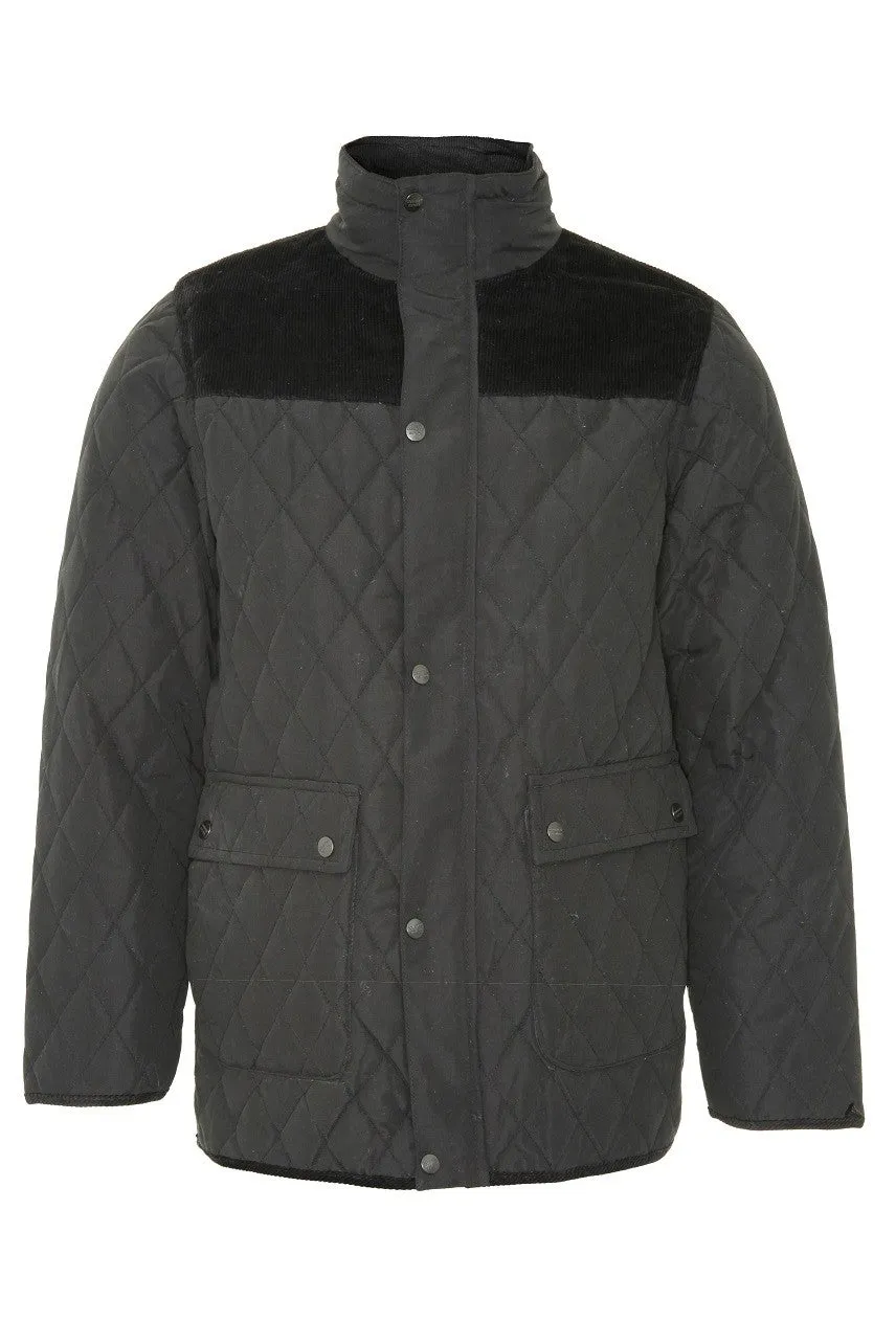 Champion Mens Lewis Padded Jacket-BLACK