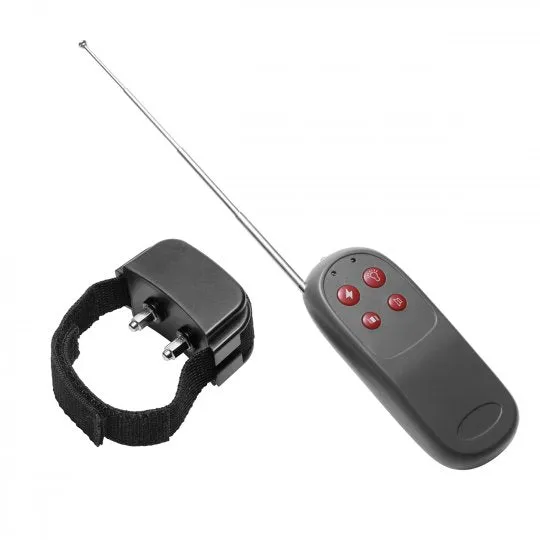 Cock Shock Remote CBT Electric Cock Ring by Master Series