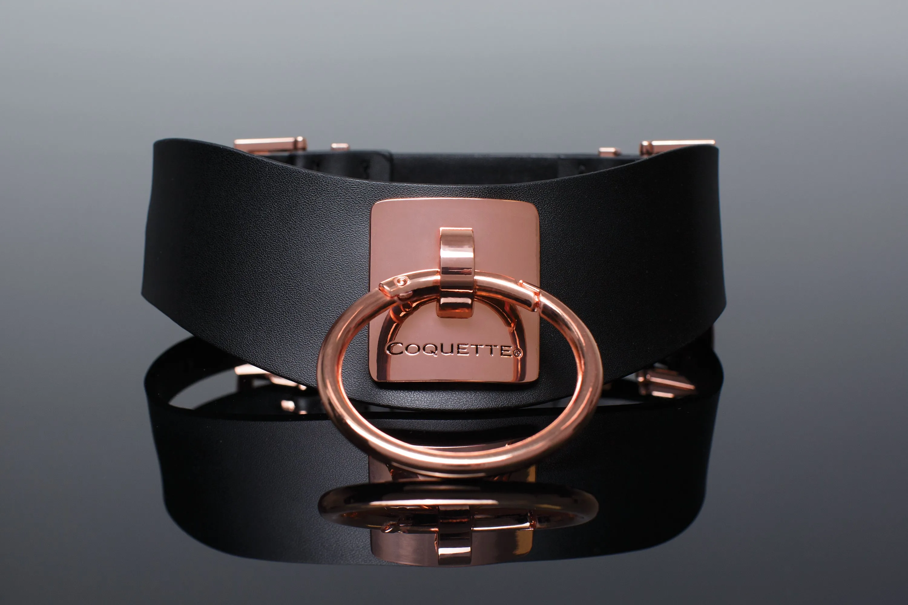 Coquette Faux Leather Collar
