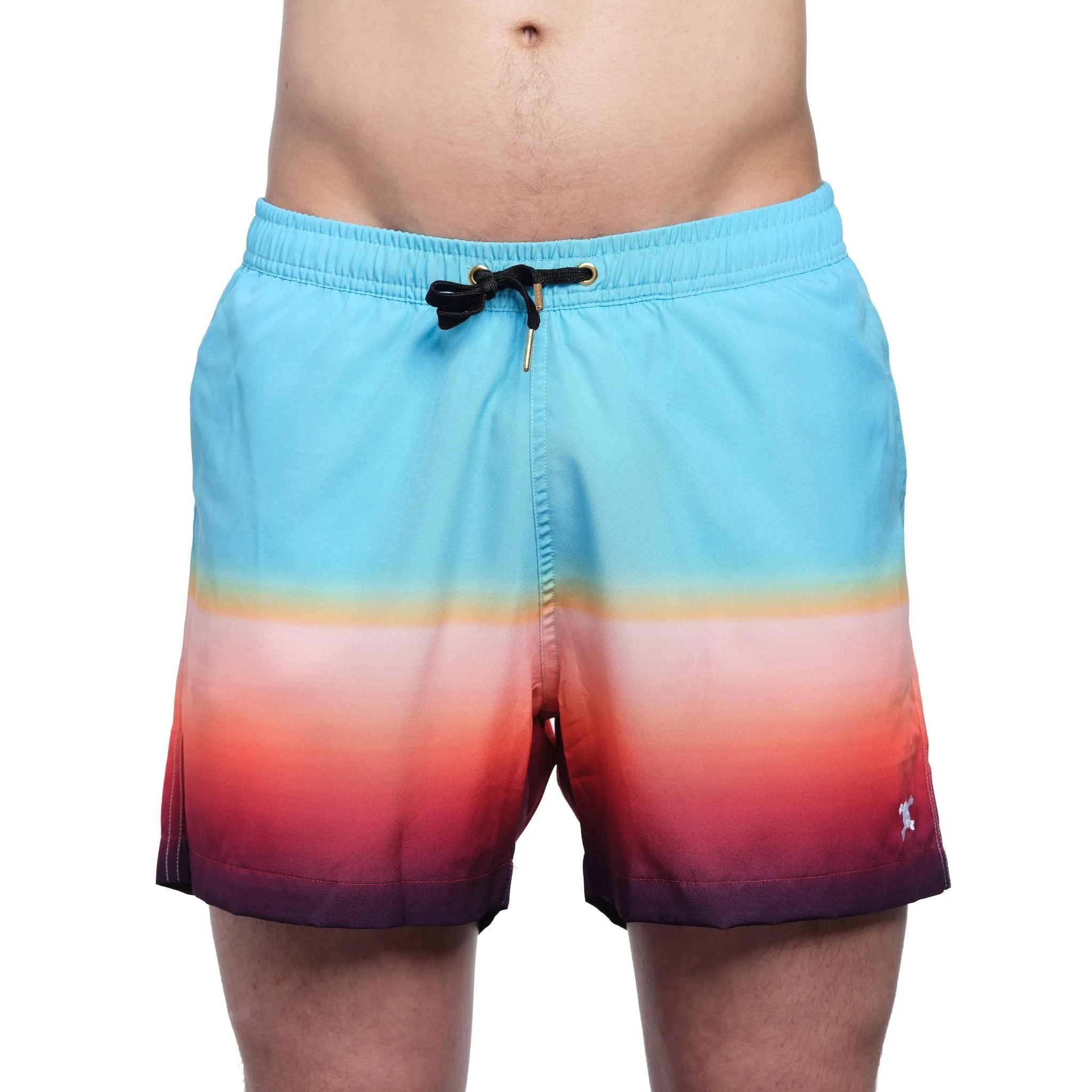 Ombre Swim Short