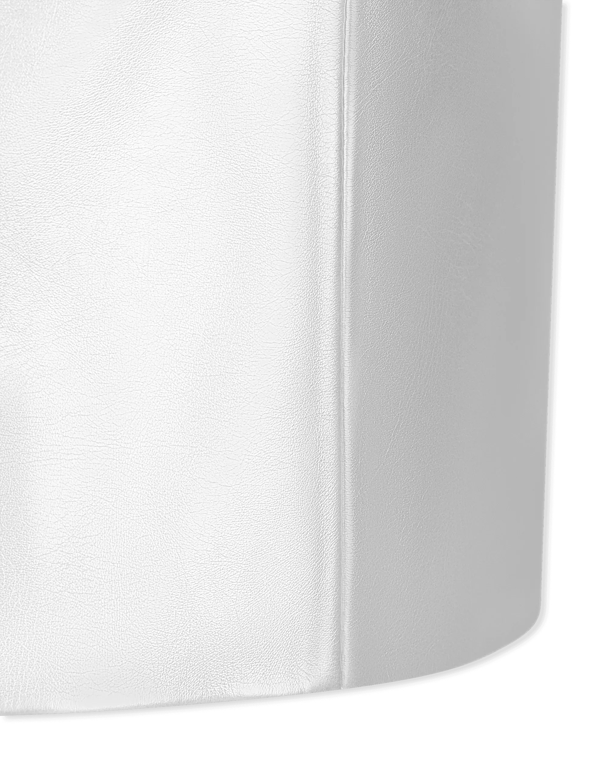 Rusine Mini Skirt